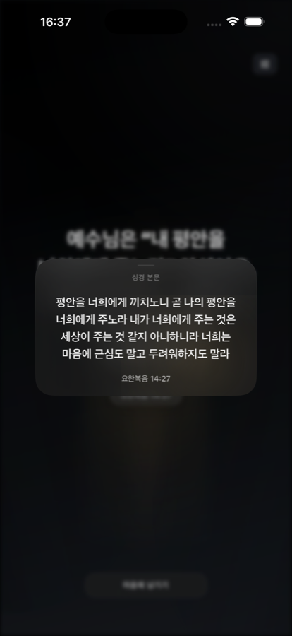 성경 본문 보기 화면